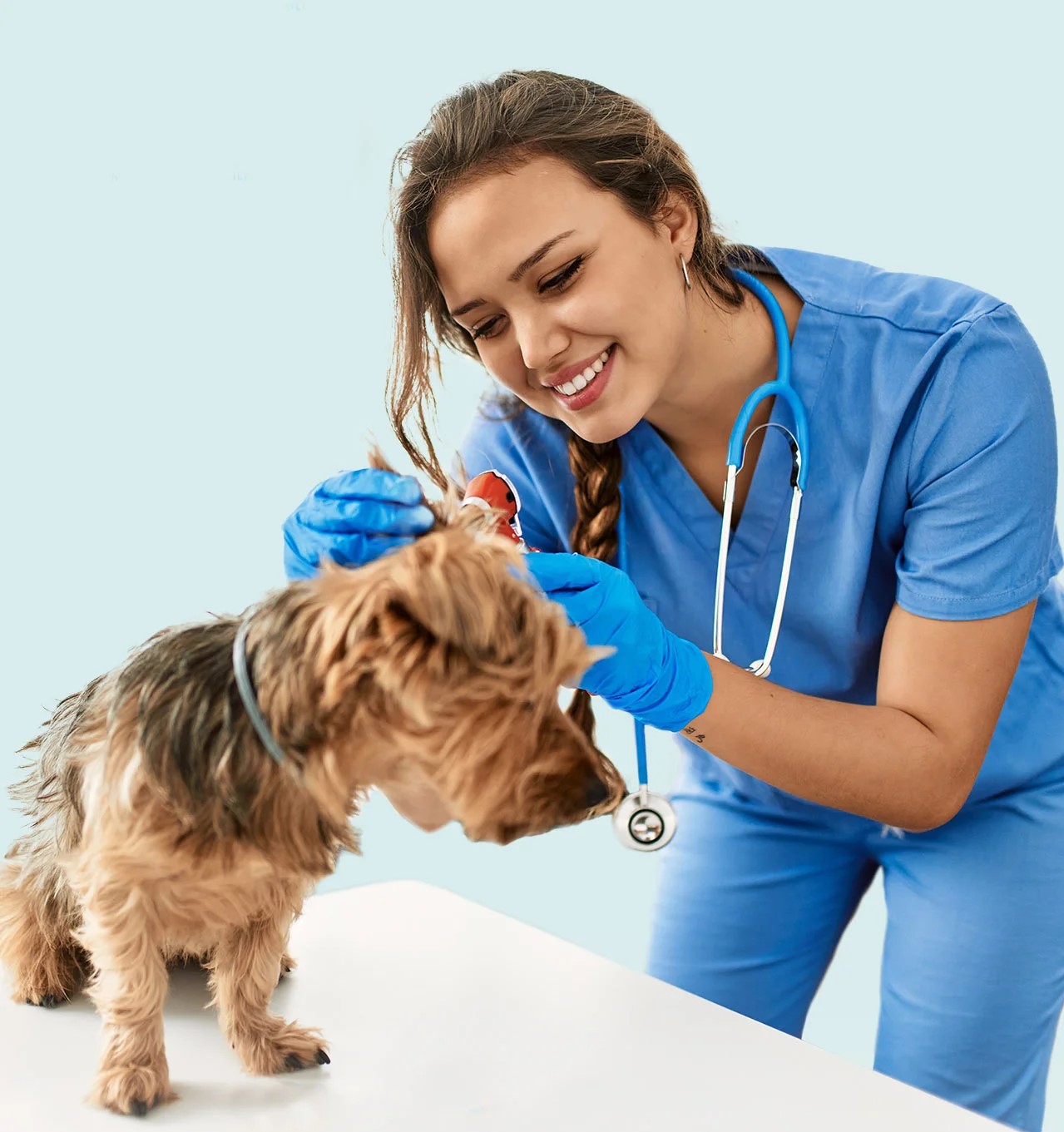 foto de una veterinaria junto a un perro